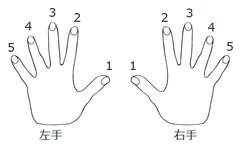 【画像】右手と左手の指番号